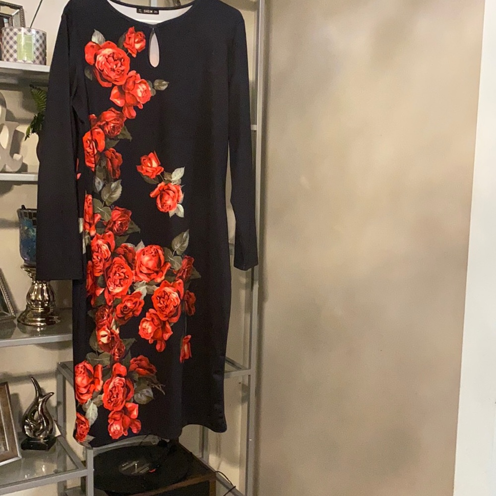 Plus size black and red dress